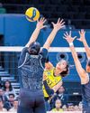 Tigresses seal semis passage Tigresses seal semis passage