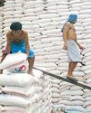 Rice stocks rise to year-high in May57