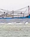 Chinese Ship Runs Aground Near Pag-asa2