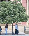 More than 1,100 deaths linked to Spain's heatwave39