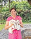 Furry Tales From Cat Lovers Maribel Ongpin Furry Tales From Cat Lovers Maribel Ongpin60