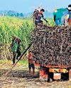 Moratorium on molasses imports set until year-end81