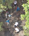 Toyota Phl's commitment: A million trees for carbon sinks Toyota Phl's commitment: A million trees for carbon sinks60