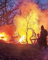 Iran seeks help with fire threatening UNESCO-listed forests43