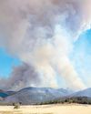 Australia declares state of disaster as bushfires rage29