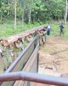 Illegal logs seized at former Sayyaf camp27