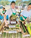 Candaba mayor suspended over Malampaya raps Candaba mayor suspended over Malampaya raps18
