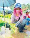 Farm sector grows 2.6% in 2025, highest in 5 years Farm sector grows 2.6% in 2025, highest in 5 years42
