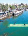 People rescued after bus falls into Seine near Paris33