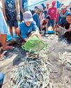 DENR seeks explanation from Baste DENR seeks explanation from Baste31
