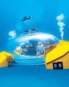 Sail, soar & see the secrets of the ocean81
