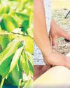 ONWARD launched in push for non-woven textiles70