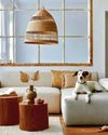 PET-PROOF YOUR HOME68