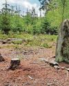 Dig reveals Stonehenge-style circle from Bronze Age29