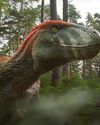 Dino team fall for an armoured charmer Dino team fall for an armoured charmer44