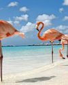 Caribbean beyond the beaches Caribbean beyond the beaches35