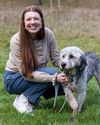 TOP DOGS TOP DOGS23