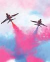 Red Arrows jets 'must be British'20