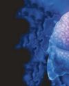 Heat warning over home risk of Legionnaire’s Heat warning over home risk of Legionnaire’s16