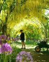 Warm and mostly dry week ahead as mercury to hit 27C