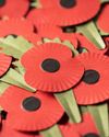 It's time for us all to rethink how we remember war heroes16