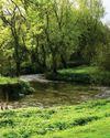 Why I joined march to clean up Britain's polluted rivers