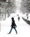 Met Office says winter is coming with 20cm of snow