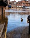 Flood-proofing homes now will prevent future misery