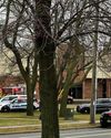 Teen kills teacher and pupil in shooting at US school