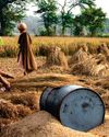 Starmer should copy India to solve dispute with farmers13