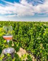 We shouldn't raise a glass to the growth of English wine The Independent