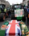 Here is how we can turn round our failing food supply The Independent