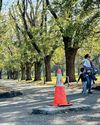 James Cook memorial won't return to Melbourne park James Cook memorial won't return to Melbourne park