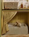 FOUR-LEGGED TREND18