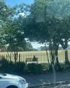 Girl, 7, dead and another, 6, fighting for life after tree fall7