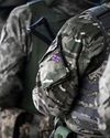 Britain needs to establish a new Home Guard – and fast4