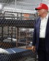 Maga voters will snap up Trump's 'Alligator Alcatraz'15