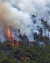 Europe battles wildfires14