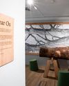 Part of Sycamore Gap tree to go on permanent display6