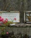 Work begins in Ireland to recover bodies of 796 babies10
