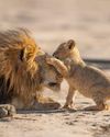 Child-rearing techniques that terrify and exhilarate26