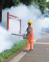 Covid-era echoes in China’s fight against mosquito virus11