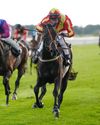 Increased betting tax could prove to be a hurdle too far16