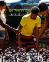 World hunger is a political choice – just look at Brazil The Independent