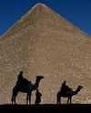 Animals ferrying tourists in Egypt abused and left to die The Independent