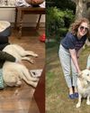 Yes, a dog is for life, but both my pets arrived at Christmas12