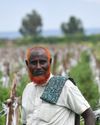 We never know if the rainy season will help, or if it is going to destroy everything' We never know if the rainy season will help, or if it is going to destroy everything'8