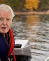 ‘Attenborough fraudster stole half my life savings’8