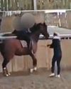 Olympian Dujardin's 'career in tatters' after video shows her whipping horse