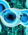 Oh baby, this stem cell longevity therapy sounds like a futuristic ride Oh baby, this stem cell longevity therapy sounds like a futuristic ride